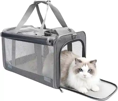 Cat Pouch Carrier