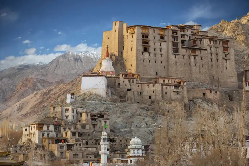 leh palace ladakh image