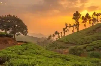 Munnar places to visit in one day