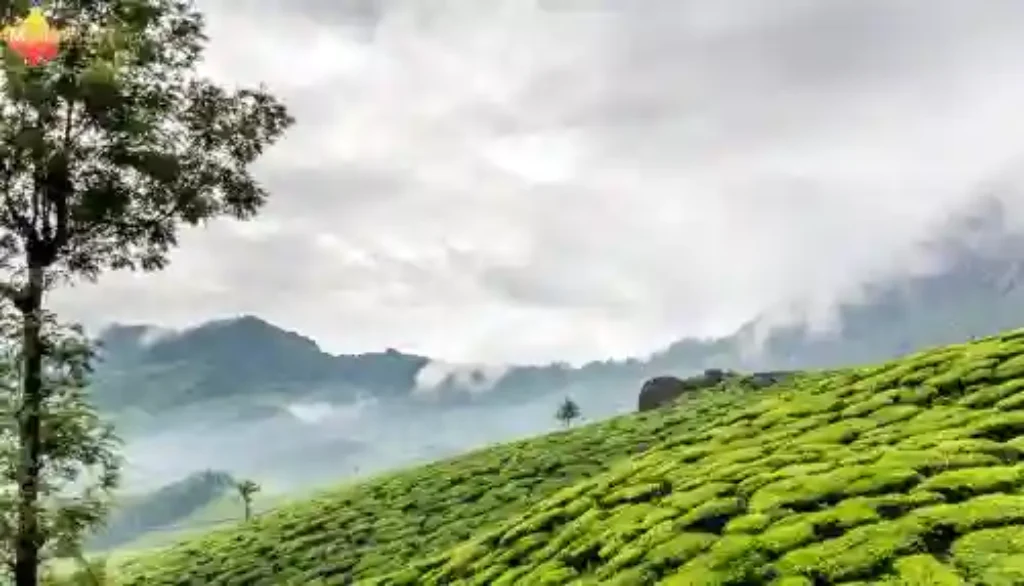munnar one day trip cost