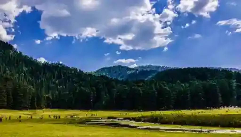 Places to visit in Khajjiar Image