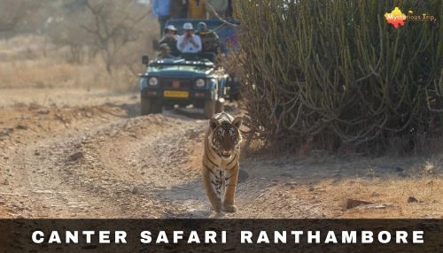 Ranthambore National Park | Tigers, Wildlife, Nature’s Beauty!