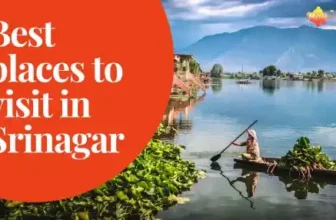 Best Places to Visit in Srinagar