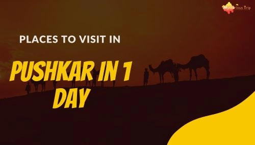 Pushkar Holi party | Activities, Information Holi festival, History!