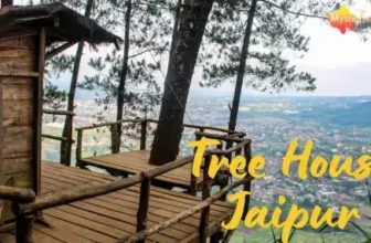 Tree House Jaipur