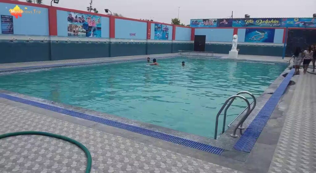 Dolphin Swimming Pool, swimming pool in jaipur