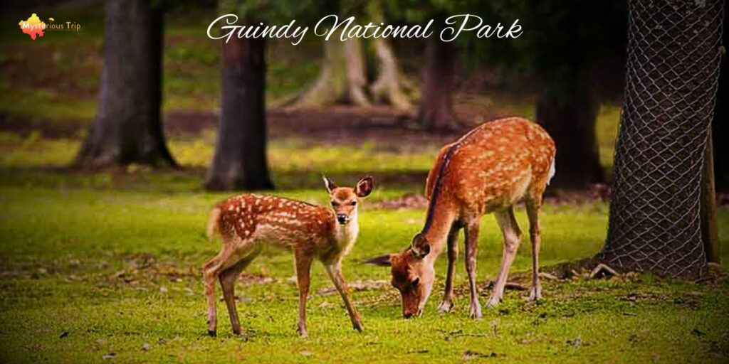 Guindy National Park, nearby attraction of Airborne Adventure Park