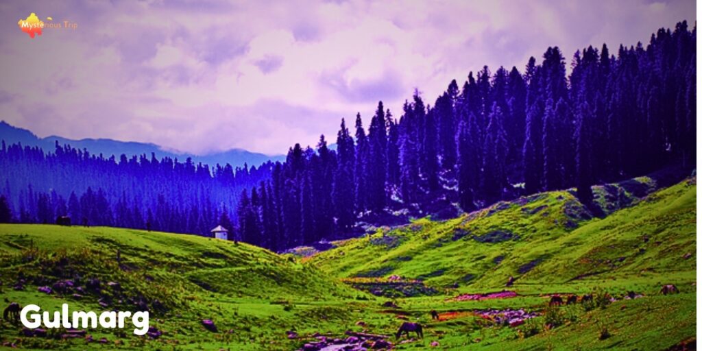 Gulmarg, Trekking in Jammu and Kashmir  