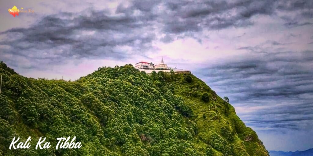 Kali Ka Tibba trek