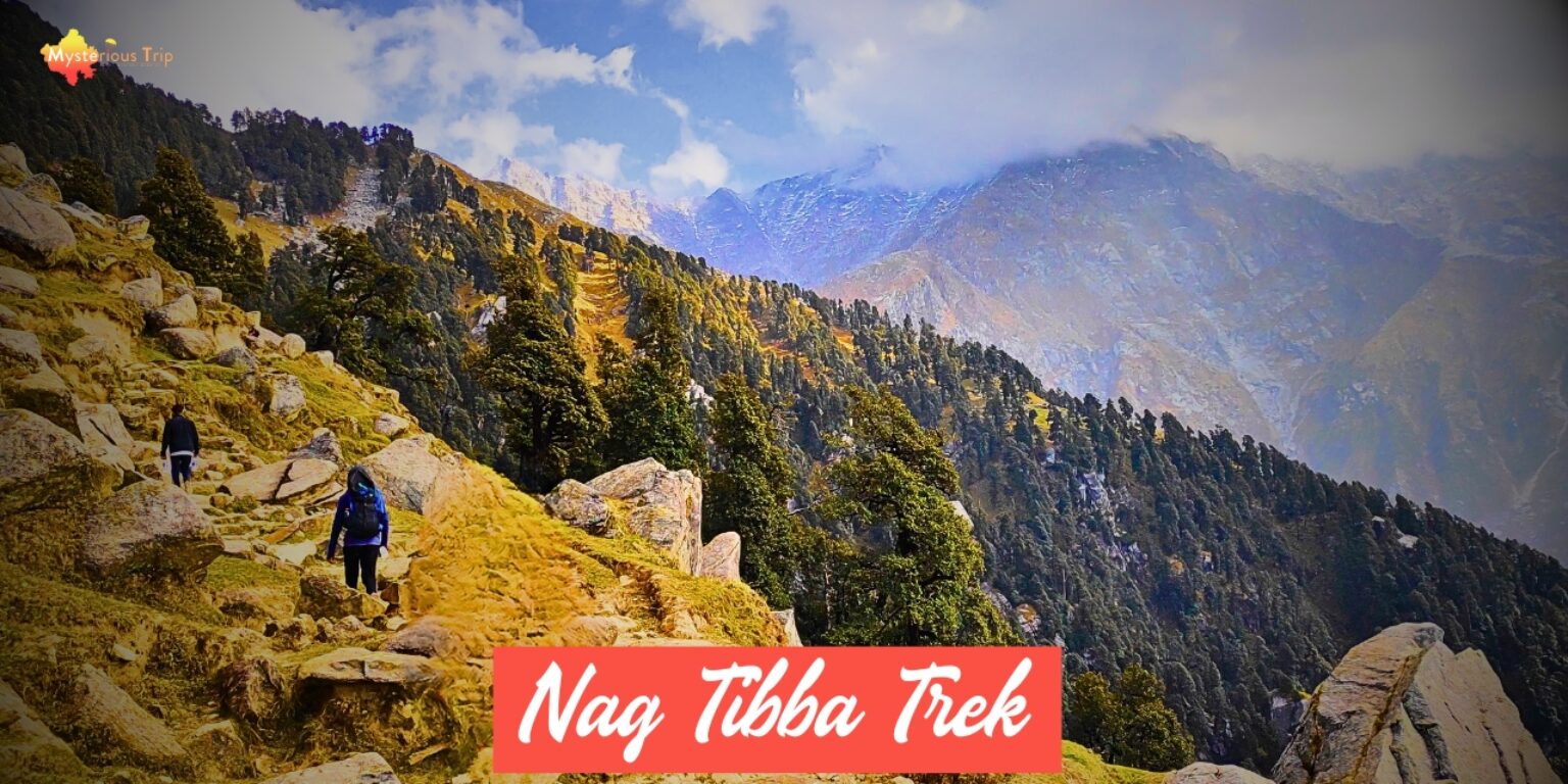 Nag Tibba Trek