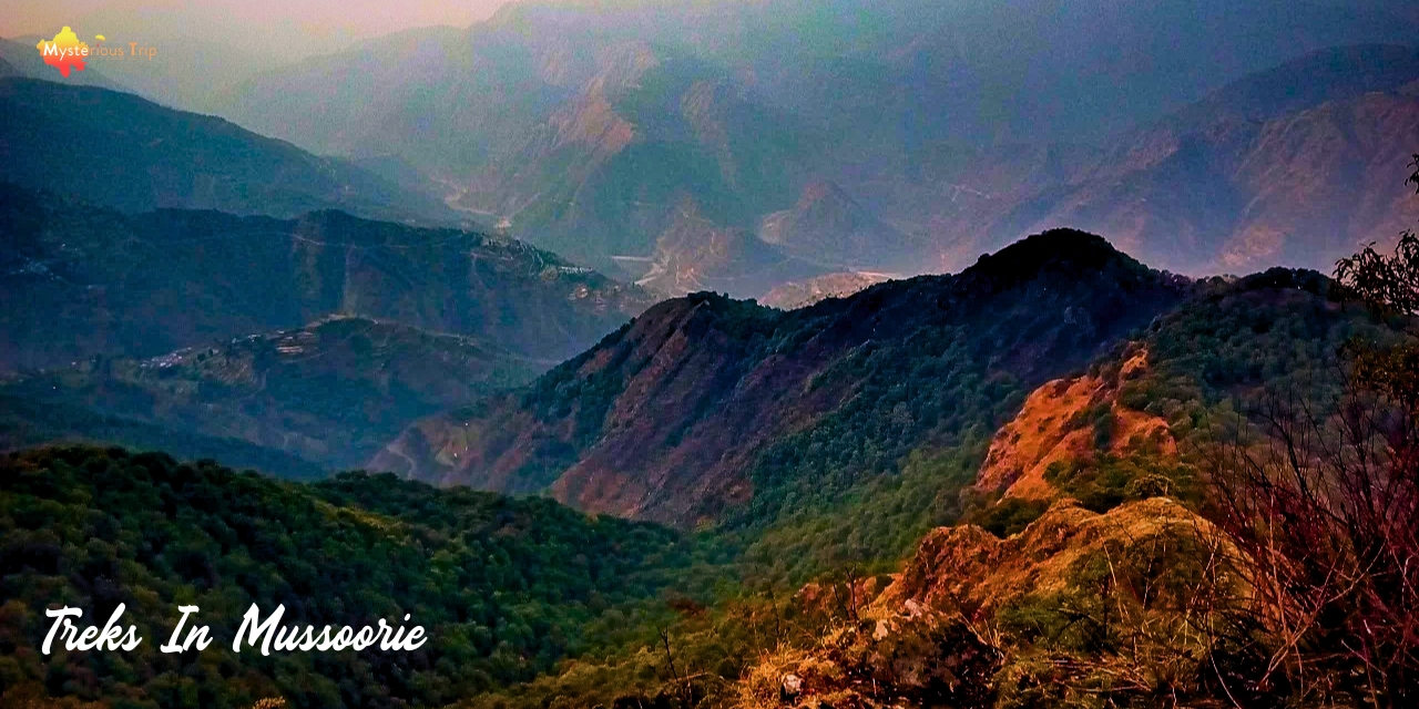 Chail Trek | About Trek, Best Places For Trekking & Activities