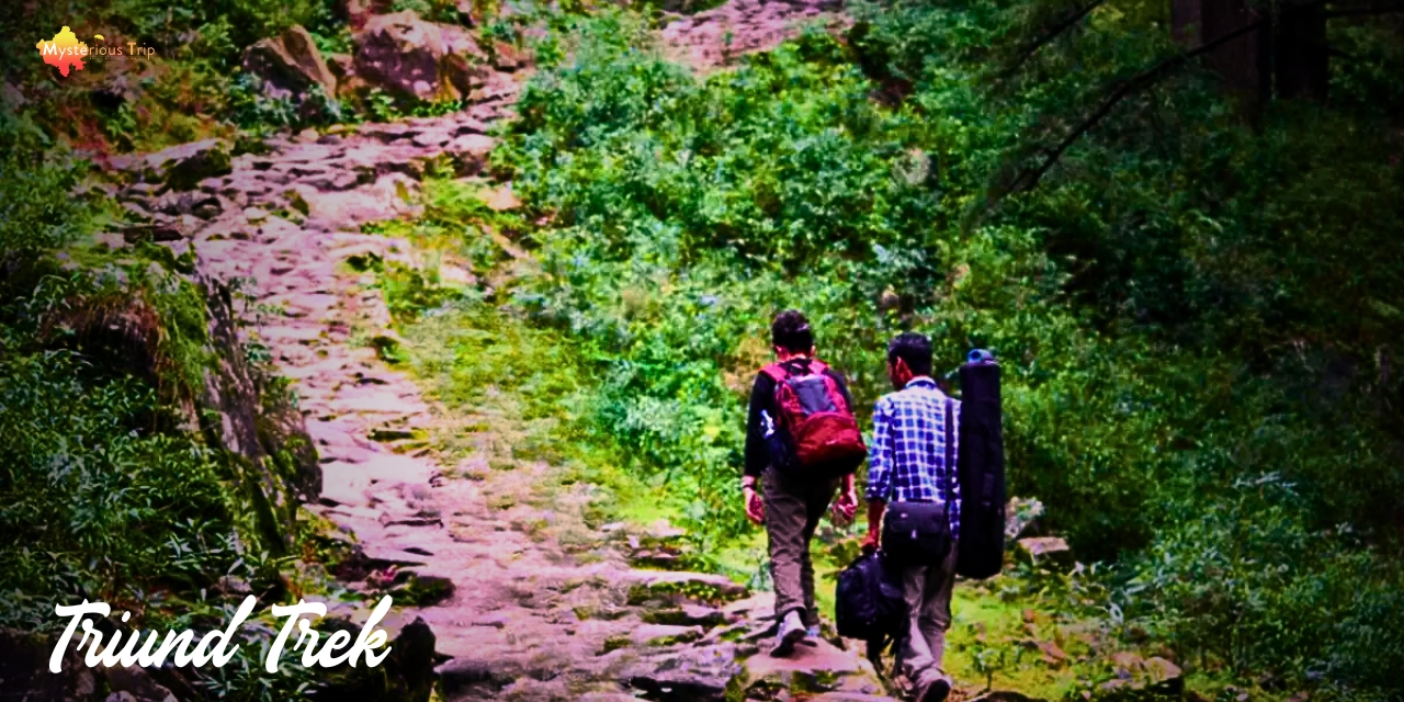 Gangotri Trekking | About trek, best time, itinerary & bonus tips!