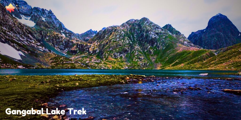 Gangabal Lake Trek, trek in kashmir