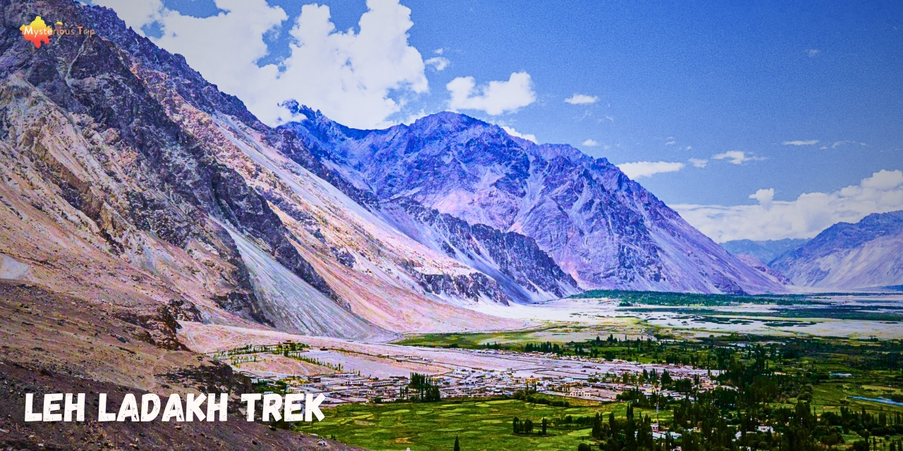 Jibhi Trek | About Trek Itinerary, Best Trekking Spots & Packing List!