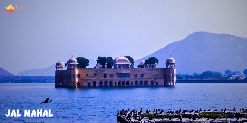 jal mahal, a Famous Monument In jaipur