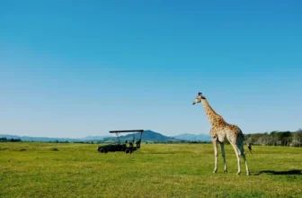 Safari Lodges in Zambia