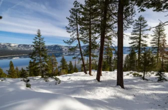 Snowshoe Adventure in Lake Tahoe